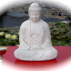 Buddha Botanischer Garten